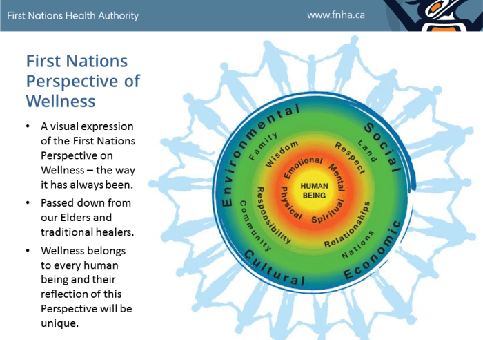 Importance of holistic approaches in wellness programs