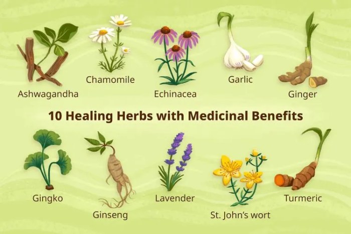 How to identify quality sources for herbal remedies