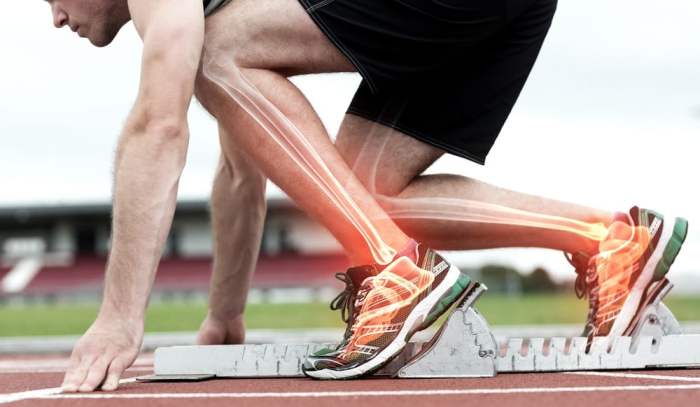 Importance of bone density for athletic performance